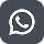 WhatsApp Icon